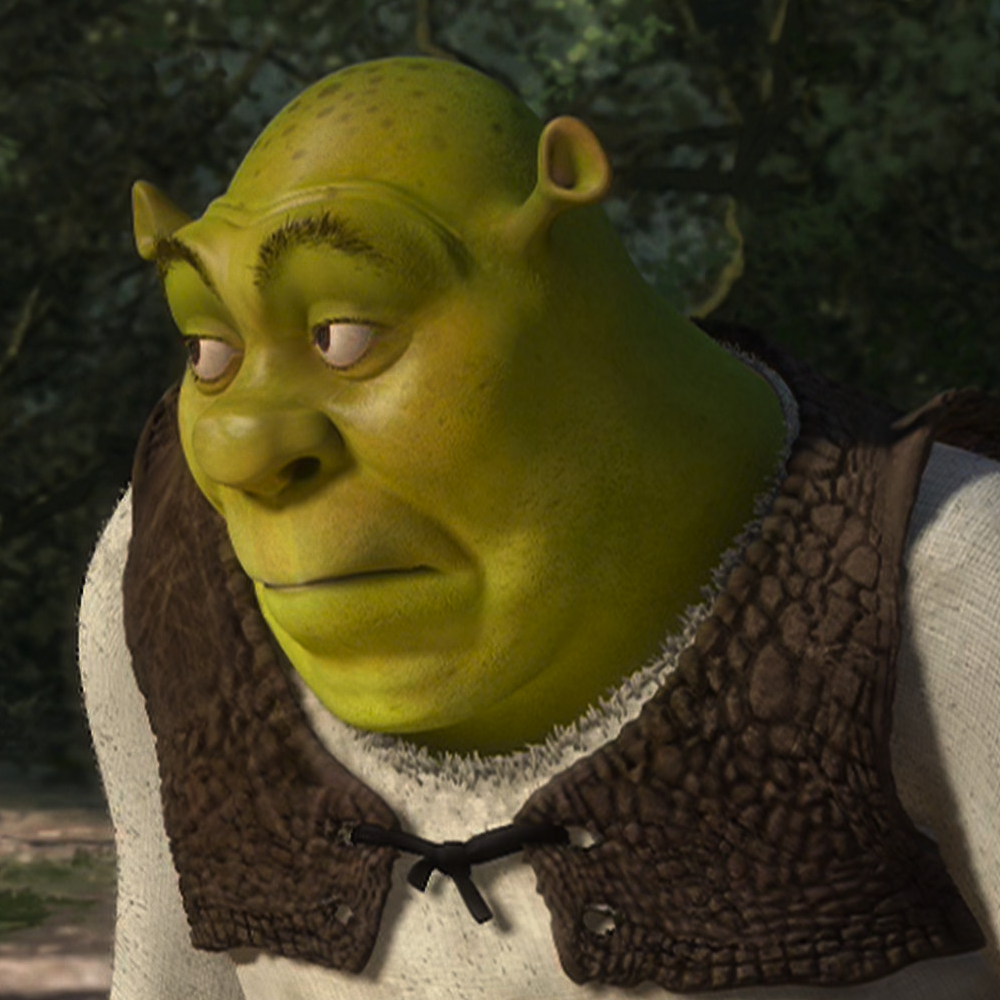 a picture of Shrek